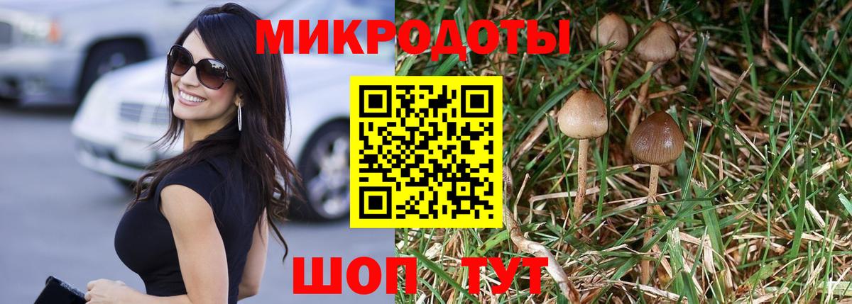 Галлюциногенные грибы GOLDEN TEACHER Чапаевск