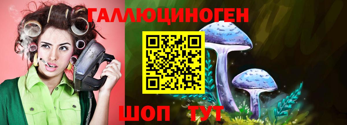 Галлюциногенные грибы мухоморы  Вход с VPN  Чапаевск 